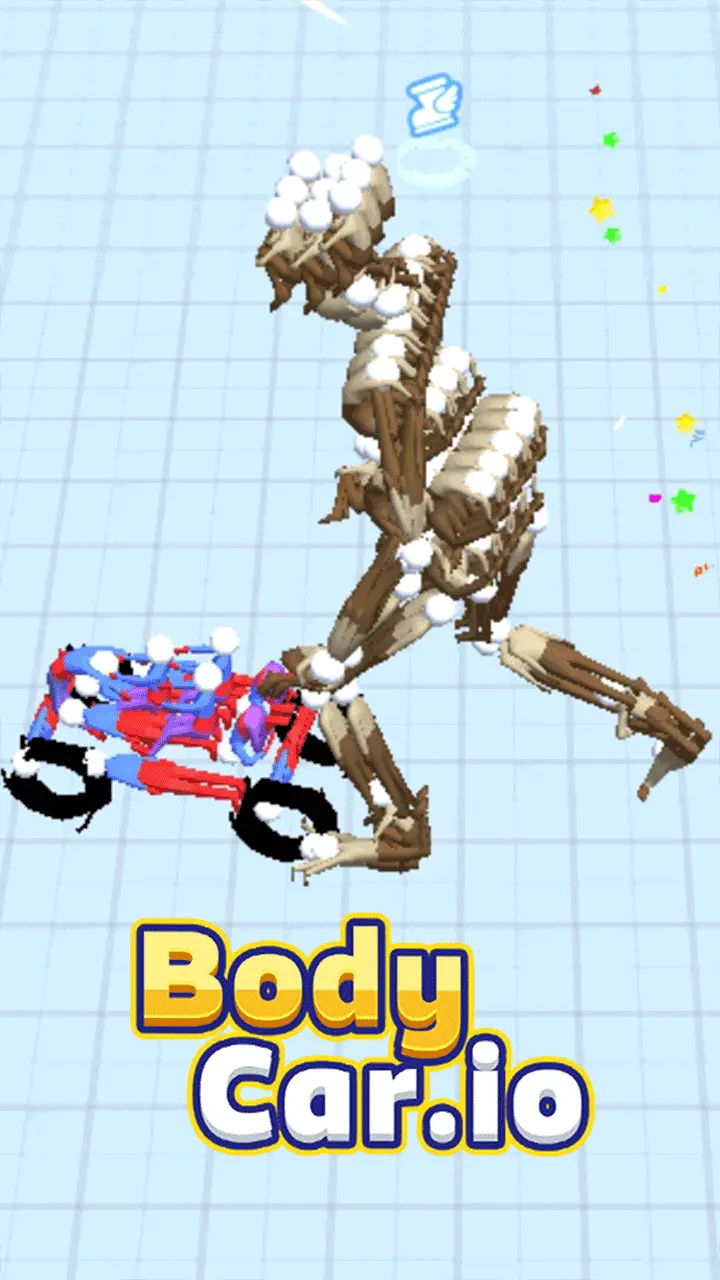 Body Car IO