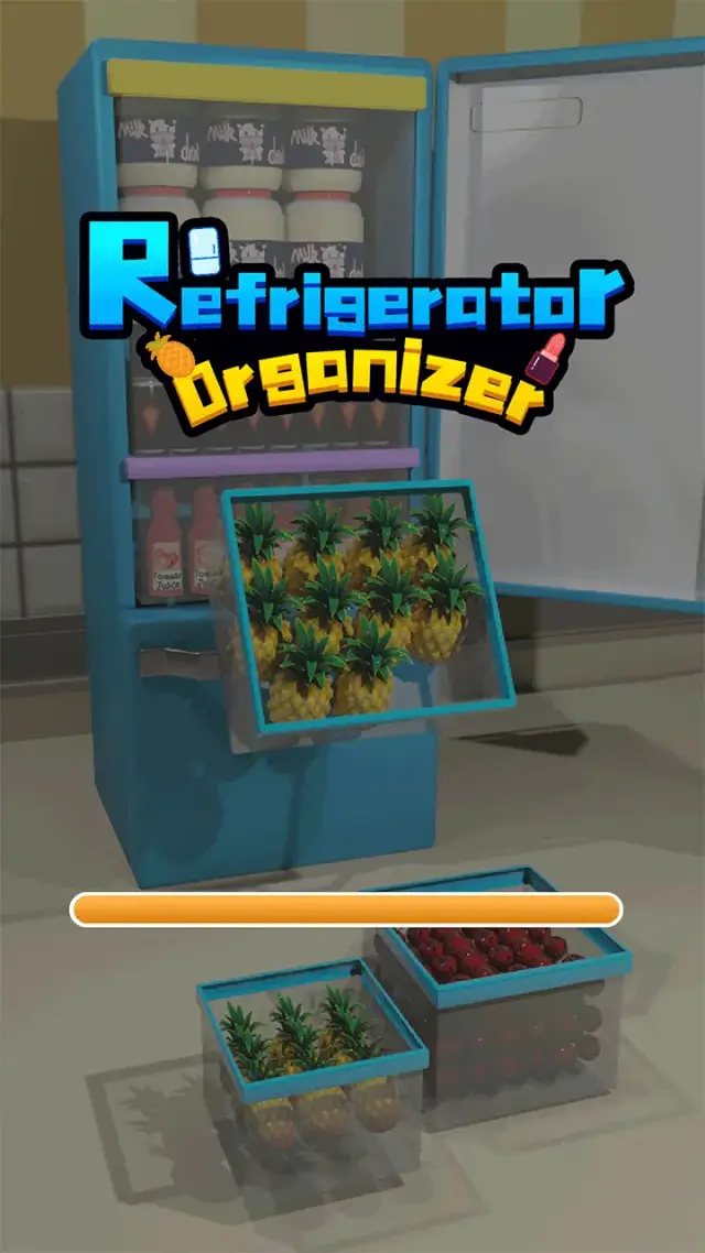Refrigerator Organizer