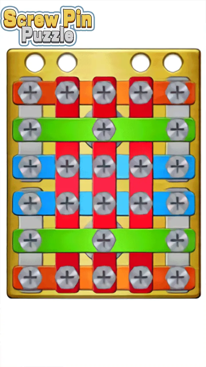 Screw Pin Puzzle