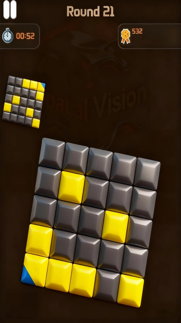 Spatial Vision