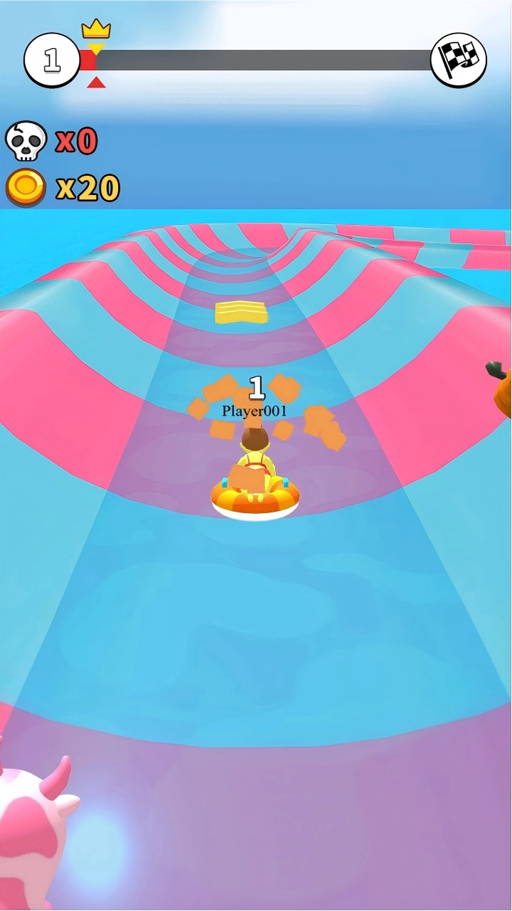 waterpark sliding